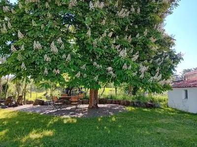 Jardin de l'établissement Auberge BonBeauJoli