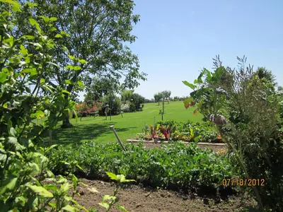 Jardin de l'établissement Chambre d'Hôtes du Bois Joli