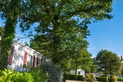 Jardin de l'établissement Camping Officiel Siblu Le Bois Masson