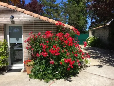 Jardin de l'établissement LE CLOS DE LA HOURSERIE