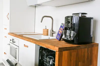 Cuisine ou kitchenette dans l'établissement Scandin'appart