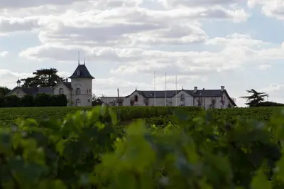 Plan de l'établissement La Maison des Vignes - Domaine de la Soucherie