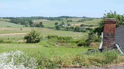 Paysage naturel près de l'appartement