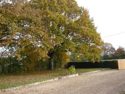 Plan de l'établissement Gîte à la campagne proche d'Angers et de la Loire