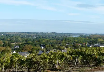 Paysage naturel près de le B&B/chambre d'hôtes