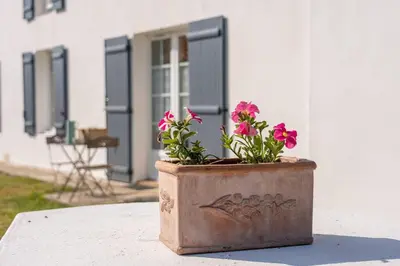 Jardin de l'établissement Gîtes Le Bois Berranger