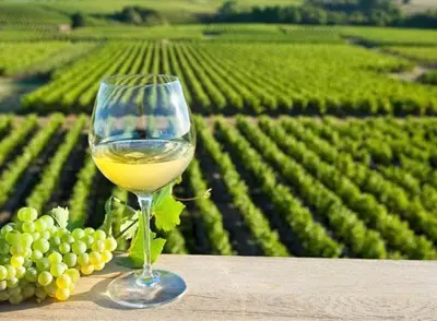 Boissons dans l'établissement Dépendance chaleureuse dans le vignoble nantais