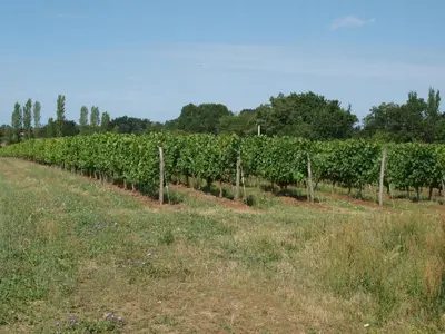 Plan de l'établissement Le Logis du Livier