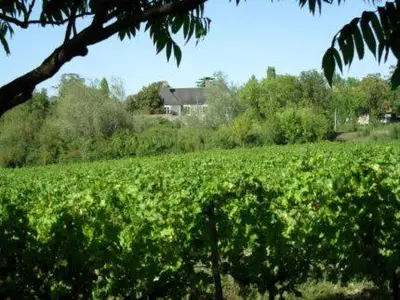 Jardin de l'établissement Le Logis Solidaire