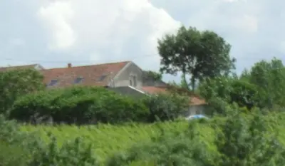 Paysage naturel près de l'appartement