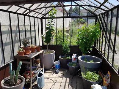 Jardin de l'établissement Angers Green Lodge - Yellow Sun Appartement