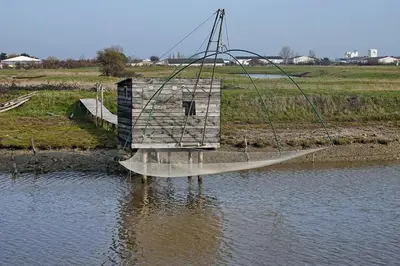Vue sur la rivière ou le fleuve situé(e) à proximité de le chalet