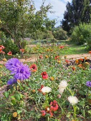 Jardin de l'établissement Gîte des 2 Pat'