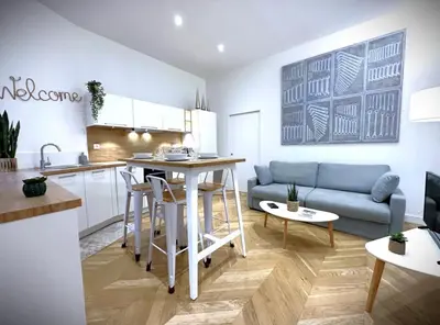 Cuisine ou kitchenette dans l'établissement Hypercentre Appart 2 à 4 pers, Calme & Cosy avec Terrasse Privée