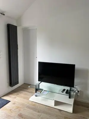 Télévision ou salle de divertissement dans l'établissement madeline house's