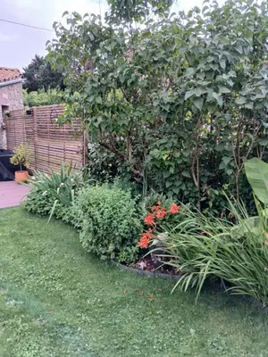 Jardin de l'établissement Les chambres du Couraud