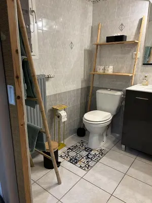 Salle de bains dans l'établissement Chambre proche Puy du Fou