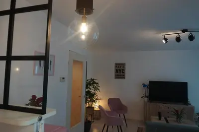 Télévision ou salle de divertissement dans l'établissement Le Pompidou T2 pour 2 à 4 pers avec parking privé & balcon Place Ney