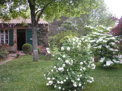 Jardin de l'établissement L'instant jardin