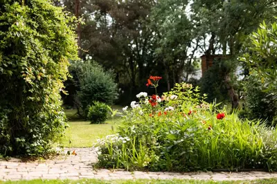 Jardin de l'établissement L'instant jardin