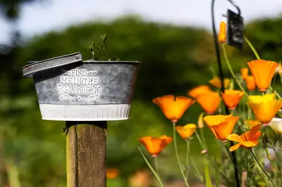Plan de l'établissement L'instant jardin