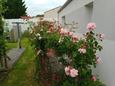 Jardin de l'établissement perle rare à énergie positive