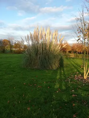 Jardin de l'établissement La haye Georget