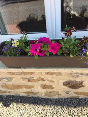 Jardin de l'établissement La Morinais