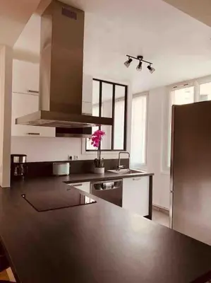 Cuisine ou kitchenette dans l'établissement Appartement Spacieux Centre Gare Visitation