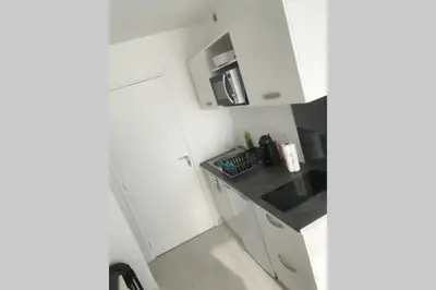 Cuisine ou kitchenette dans l'établissement Tout en Élégance - Pont Rousseau (Nantes)