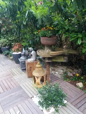 Jardin de l'établissement Chez les Dom’s