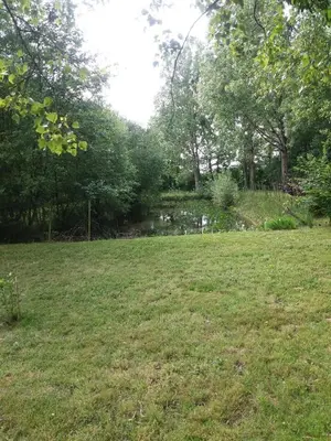 Paysage naturel près de le B&B/chambre d'hôtes