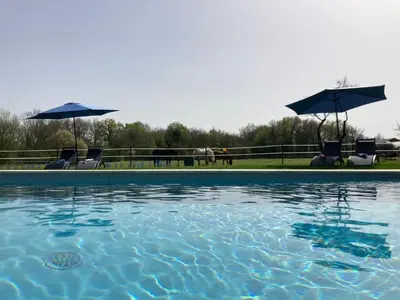 Piscine de l'établissement Château de la Preuille Bed & Breakfast ou située à proximité