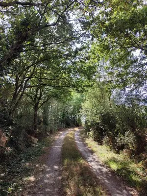 Paysage naturel près de le séjour chez l'habitant