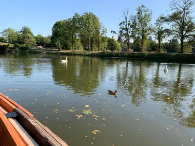 Vue sur la rivière ou le fleuve situé(e) à proximité de le bateau