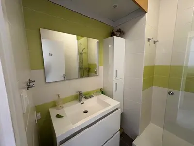Salle de bains dans l'établissement Appartement rénové 1 chambre au bord de mer avec garage - FR-1-323-32
