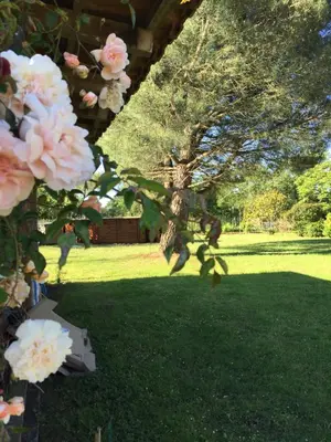 Jardin de l'établissement Au Mas Retz De Jade