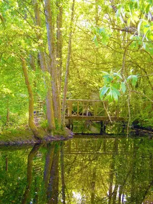 Paysage naturel près de le camping