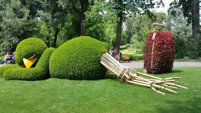 Jardin de l'établissement Casterneau3