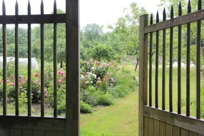 Jardin de l'établissement Château de la Marronnière