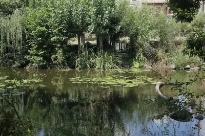 Paysage naturel près de l'appartement