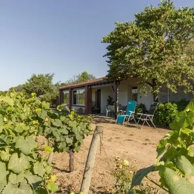 Gîte calme sur domaine viticole
