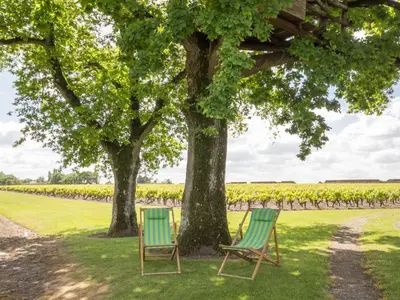 Jardin de l'établissement Gîte de charme avec piscine chauffée et WiFi - 2 chambres - FR-1-306-803