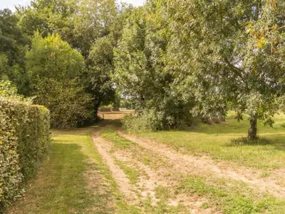 Jardin de l'établissement Charmante maison au cœur du Vignoble Nantais avec wifi - FR-1-306-804