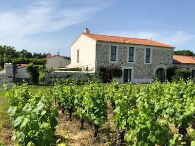 Jardin de l'établissement Gîte confortable au cœur des vignes avec terrasse, vélos, WiFi et équipements bébé à 17 km de Nantes - FR-1-306-808