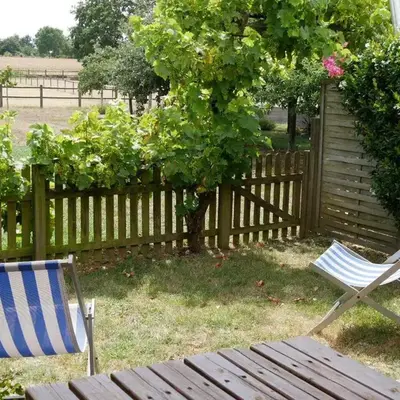 Gîte confortable au cœur des vignes avec terrasse
