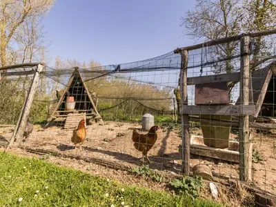 Animaux dans la maison de vacances ou à proximité