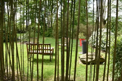 Jardin de l'établissement Le bois du drillais