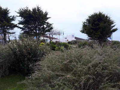 Paysage naturel près de l'appartement