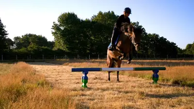 Équitation au sein de le camping ou à proximité